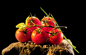 BÖHMER Tomaten #02