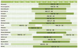 Saisonkalender